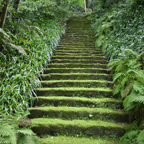 鎌倉 妙法寺