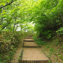 2024年5月19日（日）三瓶山域 周遊 2 of 6