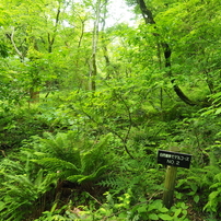 2024年5月19日（日）三瓶山域 周遊 5 of 6