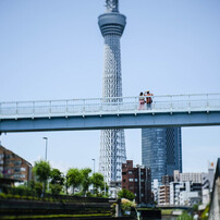 絶景かな