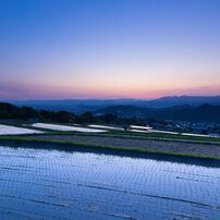 TOKINA(トキナー)のレンズ atx-i 11-16mm F2.8 CF [ニコン用] で