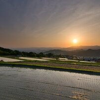 (良品)tokina atx-i 11-16mm F2.8 ニコン (作例添付) TOKINA(トキナー)のレンズ atx-i 11-16mm F2.8 CF [ニコン用] で