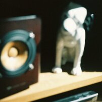 CANON(キヤノン)のフィルムカメラAutoboyテレ6 で撮影した写真(画像