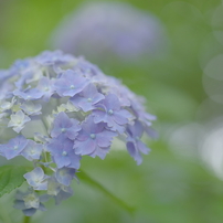 レンズ(単焦点) PENTAX - PENTAX HD FA645 MACRO 90mm F2.8ED AW SR 中古(used)】ペンタックス HD PENTAX-D FA645 MACRO 90mmF2.8ED