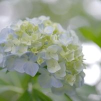 レンズ(単焦点) PENTAX - PENTAX-D FA645 MACRO 90mm F2.8ED AW SR Amazon.co.jp: Pentax HD PENTAX D FA 645 MACRO 90mm F2.8 ED