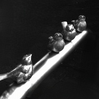 FUJIFILM(富士フイルム)のデジタルカメラFinePix JX400 で撮影した写真