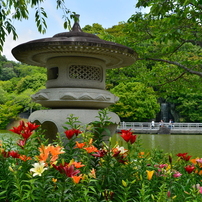 TAMRON(タムロン)のレンズ 28-300mm F/3.5-6.3 Di VC PZD (Model