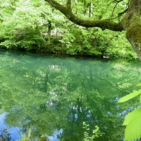 CANON(キヤノン)のデジタルカメラPowerShot SX710 HS で撮影した