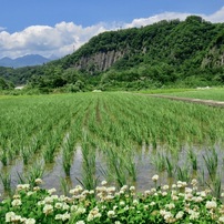 CANON(キヤノン)のデジタルカメラPowerShot SX710 HS で撮影した