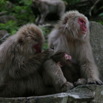 TAMRON(タムロン)のレンズ AF 28-300mm F3.5-6.3 XR Di LD