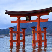 厳島神社大鳥居