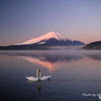 スワンハートと富士山