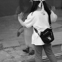 NIKON(ニコン)のレンズ Ai AF Zoom Nikkor ED 80-200mm F2.8D で撮影