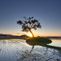 (良品)tokina atx-i 11-16mm F2.8 ニコン (作例添付) TOKINA(トキナー)のレンズ atx-i 11-16mm F2.8 CF [ニコン用] で