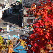 CANON(キヤノン)のデジタルカメラPowerShot SX10 IS で撮影した写真