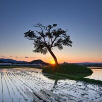 (良品)tokina atx-i 11-16mm F2.8 ニコン (作例添付) TOKINA(トキナー)のレンズ atx-i 11-16mm F2.8 CF [ニコン用] で