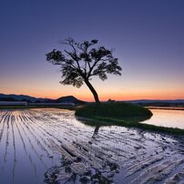 (良品)tokina atx-i 11-16mm F2.8 ニコン (作例添付) TOKINA(トキナー)のレンズ atx-i 11-16mm F2.8 CF [ニコン用] で