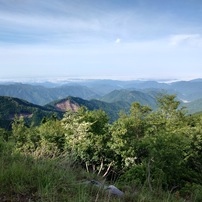 2024年6月17日（月）駒ノ尾山スライドショー2of5