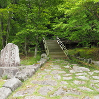 2024年6月17日（月）駒ノ尾山スライドショー5of5
