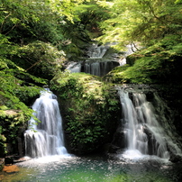 新緑の赤目四十八滝