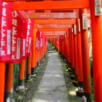 佐助稲荷神社鳥居