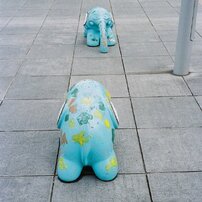 OLYMPUS(オリンパス)のフィルムカメラ35SP で撮影した写真(画像)一覧