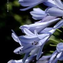 NIKON(ニコン)のデジタル一眼D2X で撮影した写真(画像)一覧- 写真共有