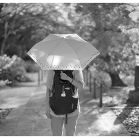 NIKON(ニコン)のフィルムカメラNew FM2 で撮影した写真(画像)一覧