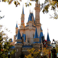 NIKON(ニコン)のデジタルカメラCOOLPIX P5100 で撮影した写真(画像