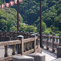 新品LAOWAカメラレンズ 105mm F2 BOKEH DREAMER一眼レフ LAOWAカメラレンズ 105mm F2 BOKEH DREAMER一眼レフ