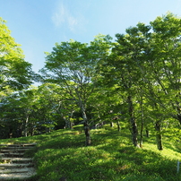 2024夏・大台ヶ原Part1_3 of 10