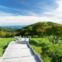 2024夏・大台ヶ原Part1_4 of 10