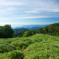 2024夏・大台ヶ原Part1_7 of 10