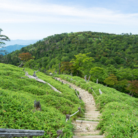 2024夏・大台ヶ原Part1_9 of 10