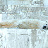 OLYMPUS(オリンパス)のデジタルカメラu9010,S9010 で撮影した写真(画像