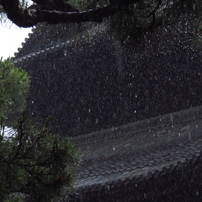 CANON(キヤノン)のデジタルカメラPowerShot SX710 HS で撮影した写真