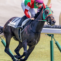 NIKON(ニコン)のレンズ Ai AF-S Nikkor ED 400mm F2.8D II (IF