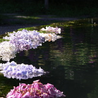 RICOH(リコー)のデジタルカメラCX1 で撮影した写真(画像)一覧(18ページ