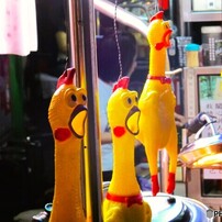 CANON(キヤノン)のデジタルカメラPowerShot SX130 IS で撮影した写真