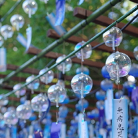 SIGMA(シグマ)のレンズ 18-35mm F1.8 DC HSM [ペンタックス用