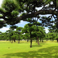 美品【作例あり】Canon Powershot S100 コンデジ Canon PowerShot S100