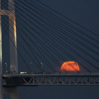 CANON(キヤノン)のレンズ EF75-300mm F4-5.6 III USM で撮影した写真