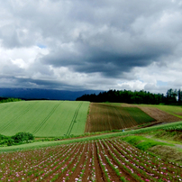 FUJIFILM FinePix F70EXR コンデジ CCD 作例有 FUJIFILM FinePix F70EXR 作例 - PhotoXP