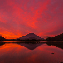 CANON(キヤノン)のレンズ EF17-40mm F4L USM で撮影した写真(画像)一覧