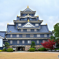 秋色岡山城