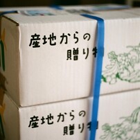 CONTAX(コンタックス)のフィルムカメラRX で撮影した写真(画像)一覧