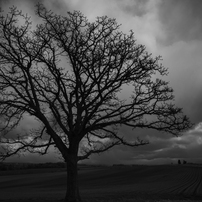 NIKON(ニコン)のレンズ Ai Nikkor 20mm f/2.8S で撮影した写真(画像