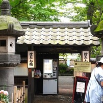 上野東照宮ダリア展