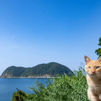 チャイロくん。ひょうたん島を背景に。