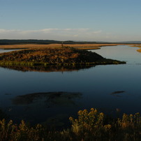 NIKON(ニコン)のレンズ Ai AF Zoom-Nikkor 24-85mm f/2.8-4D IF で撮影